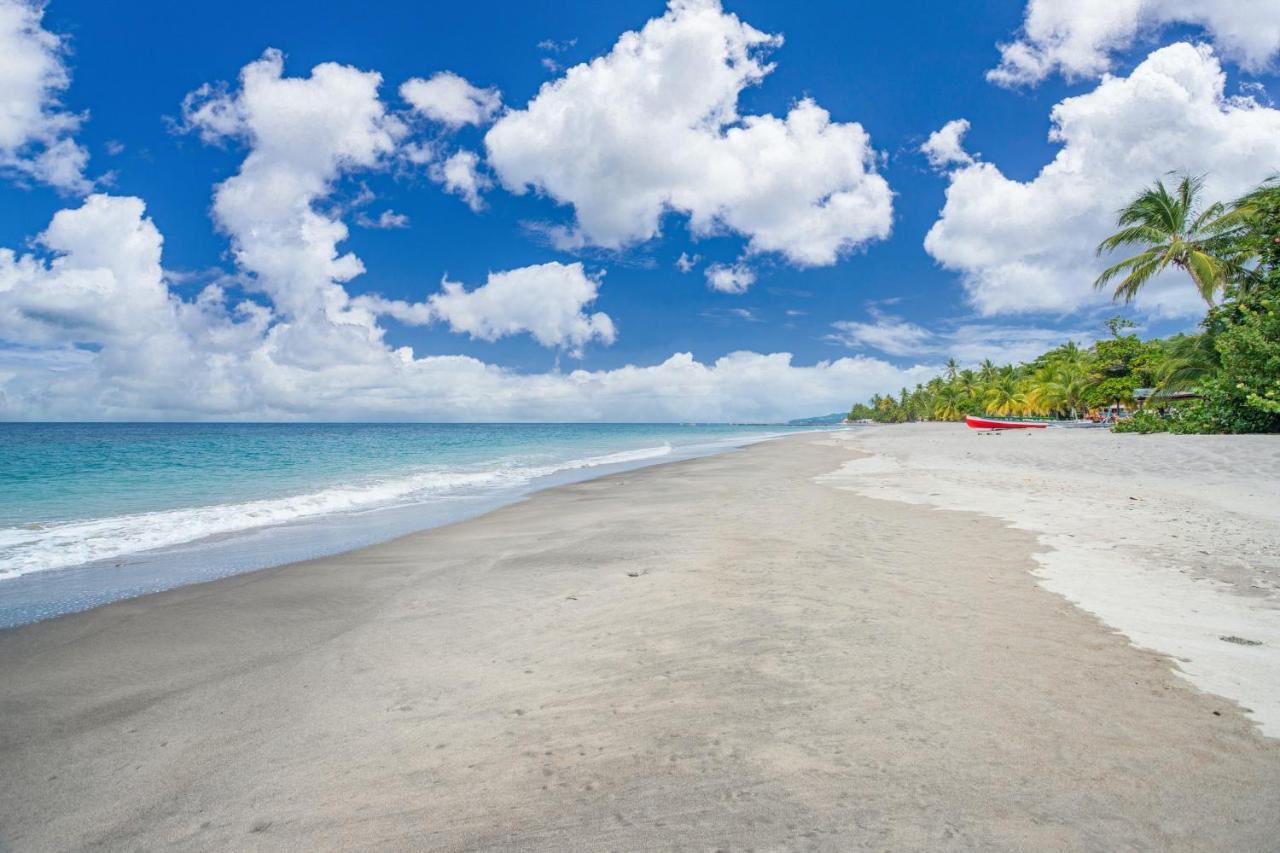 Appartement Charmant Au Carbet Avec Vue Sur La Mer 50 M² ลาการ์เบต์ ภายนอก รูปภาพ